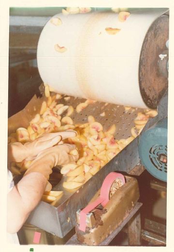 #60YearsAndStillGrowing