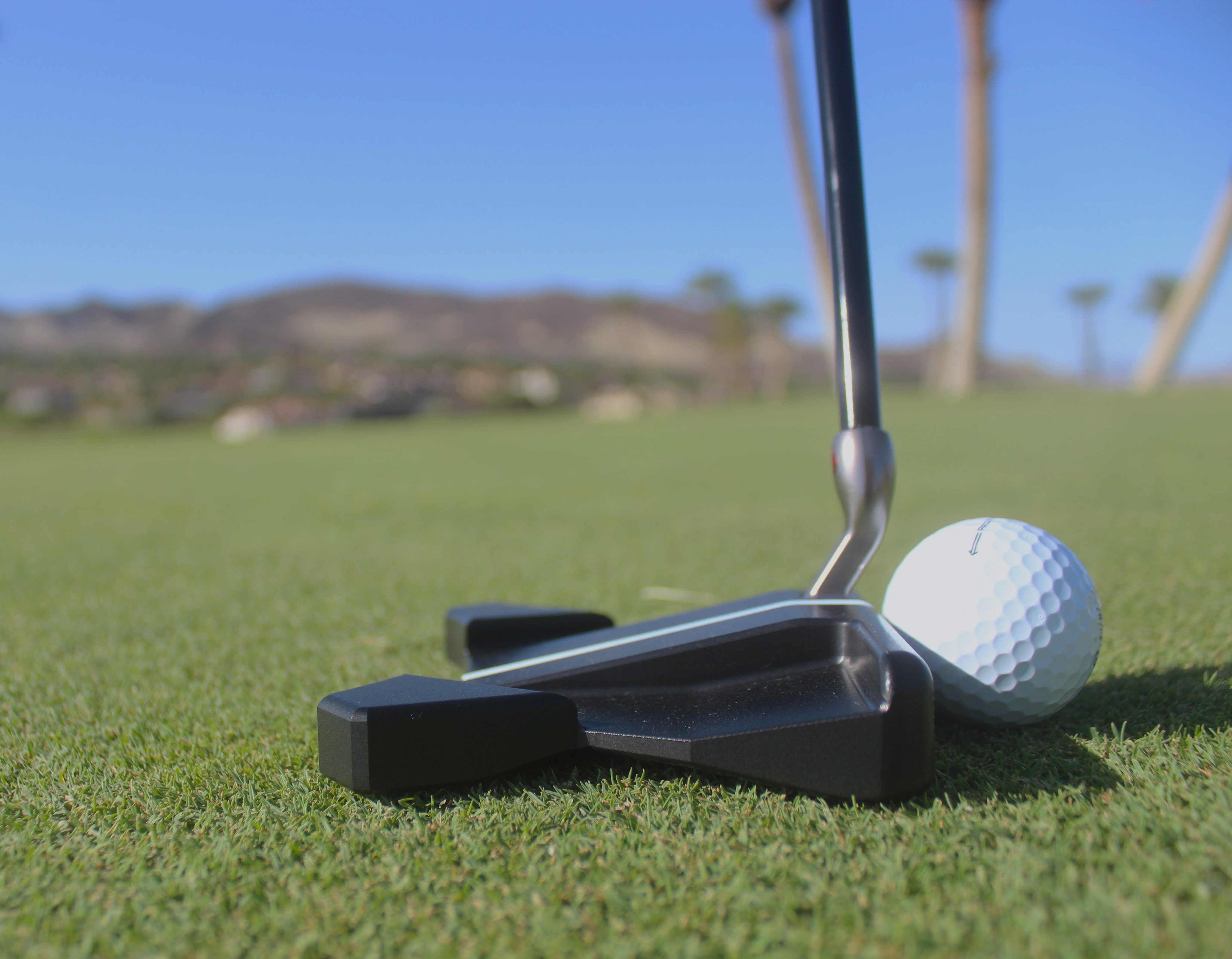 Bloodline Golf BloodlineGolf X