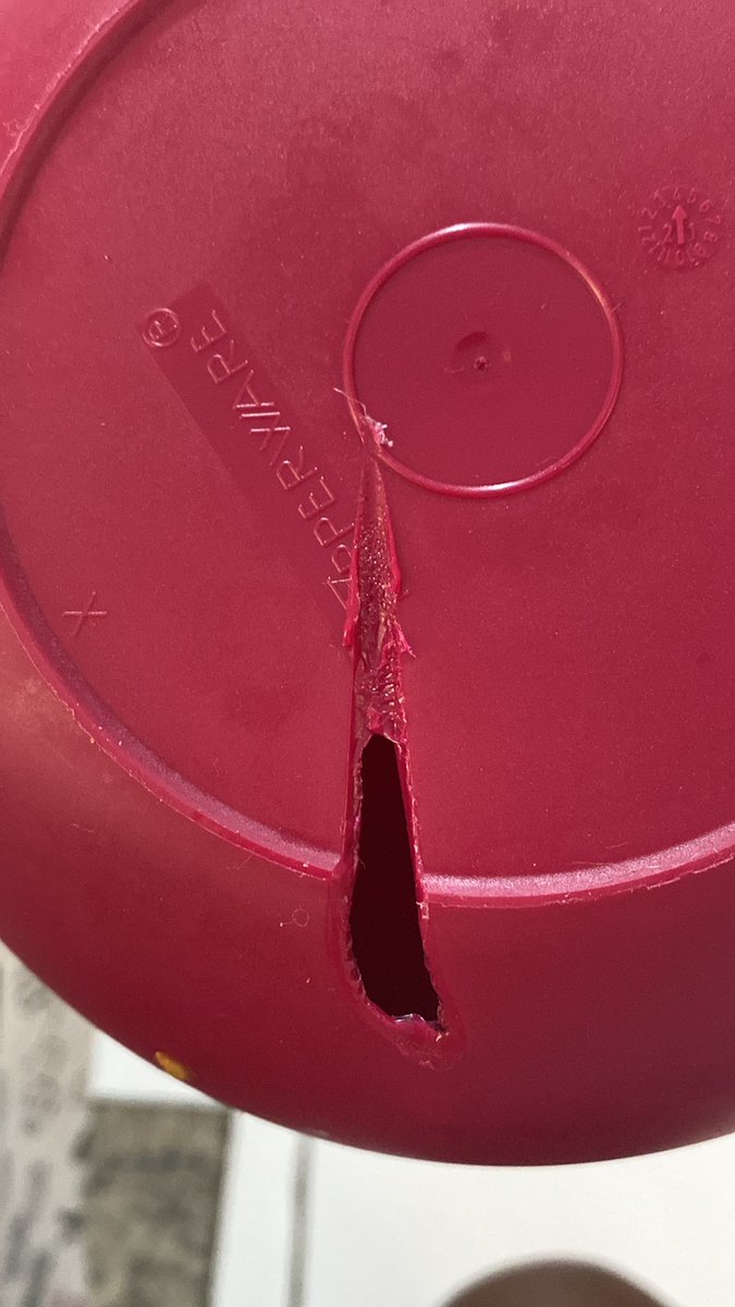 llucianasiq's tweet photo. Ainda estou abalada com a besteira que fiz: queimei meu pote da #tuperware . Quem tem uma tuperware , sabe a dor que estou sentindo 😭 https://t.co/34ybL3X38N