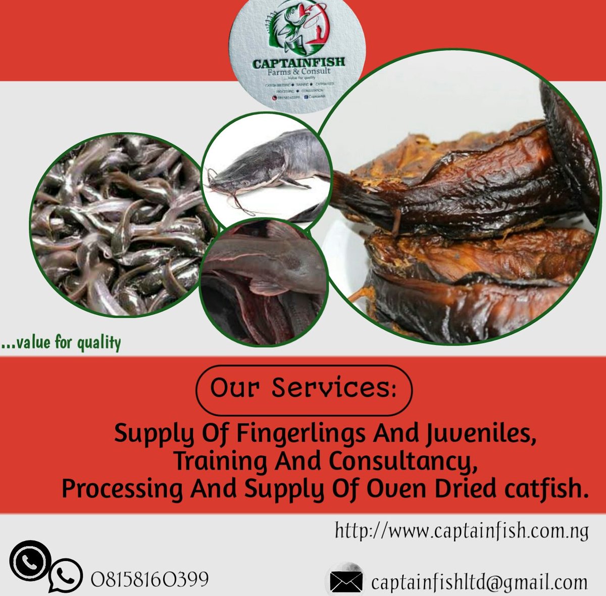 _captainfish's tweet image. We are taking orders!
Our services include supply of fingerlings and juveniles, 
Training and Consultancy,processing and supply of oven dried catfish.

...value for quality