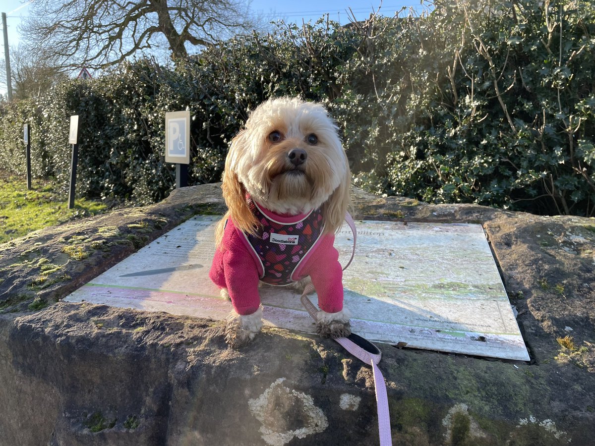 Claire Mitchell (Mills) MSc, ILM, QN tweet media