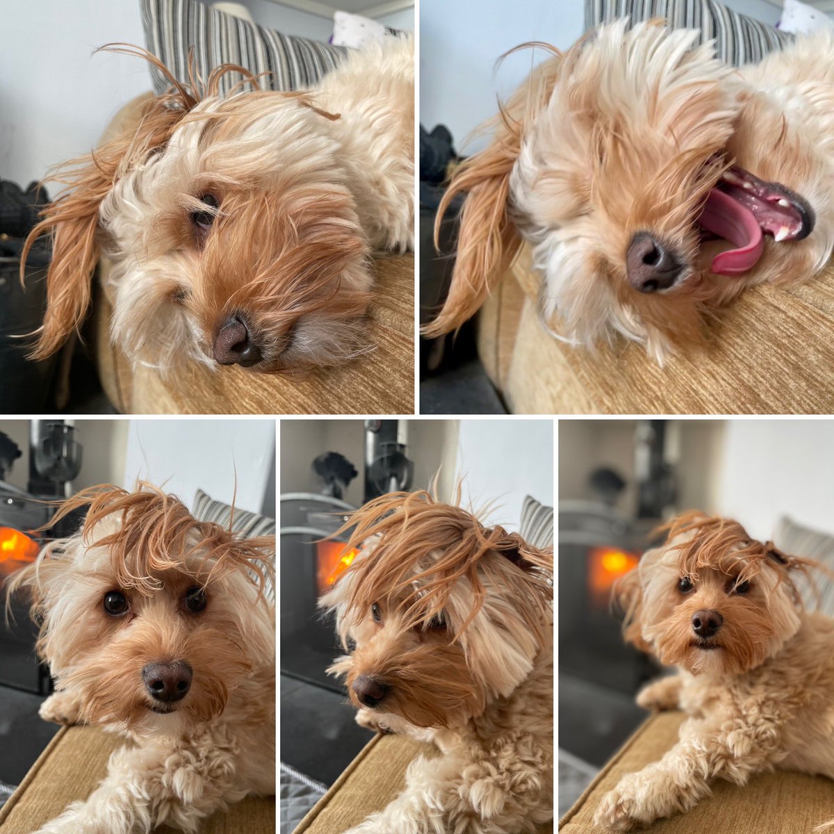 Claire Mitchell (Mills) MSc, ILM, QN tweet media