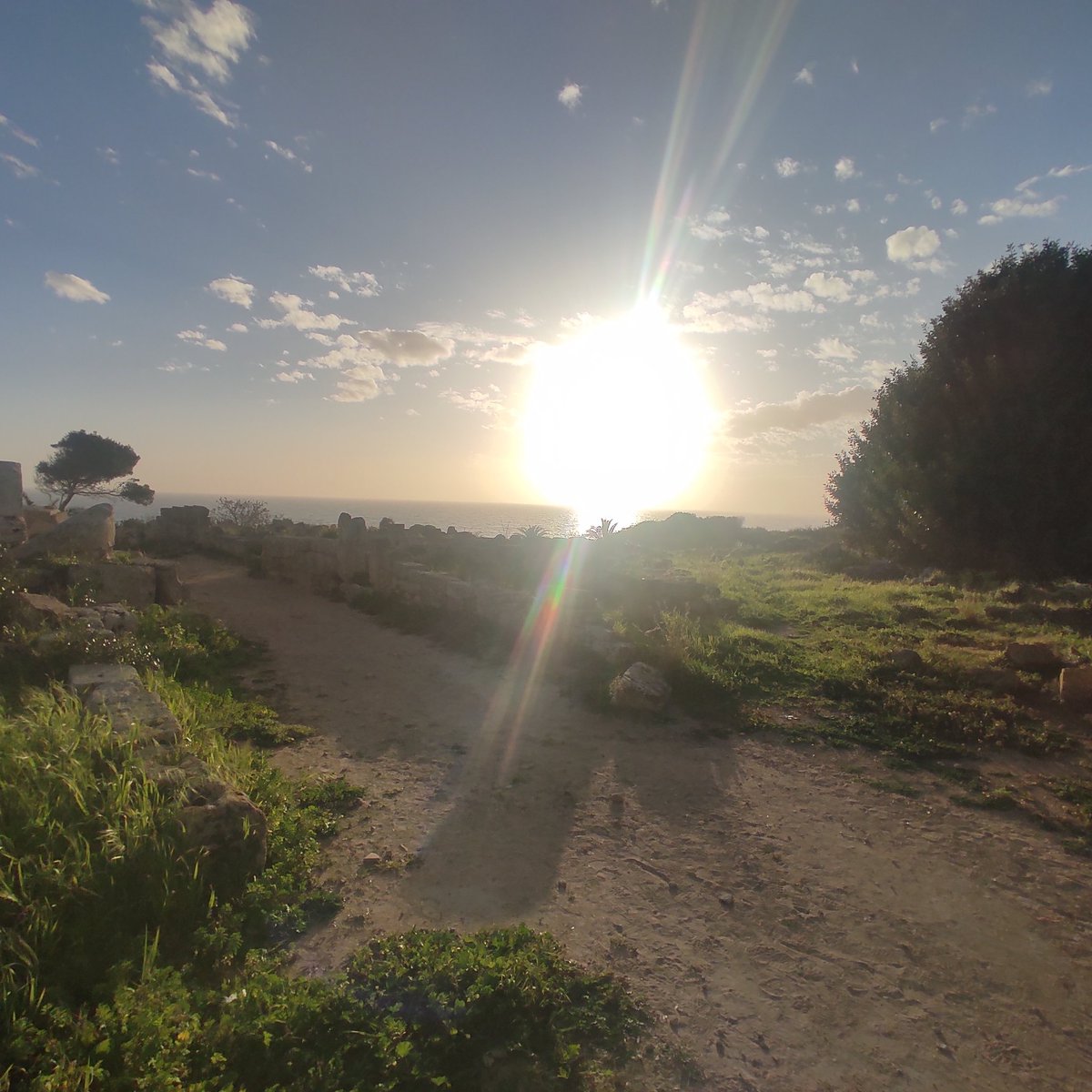 MarcoMeschis's tweet photo. Last stop of @the_LEMON_wg Winter School today is in #Selinunte greek city where archaeoseismological evidence show historical seismicity likely linked to the continental collision accommodated by thrusting activity.
#LemonWS23 https://t.co/qEWYFIHl8e