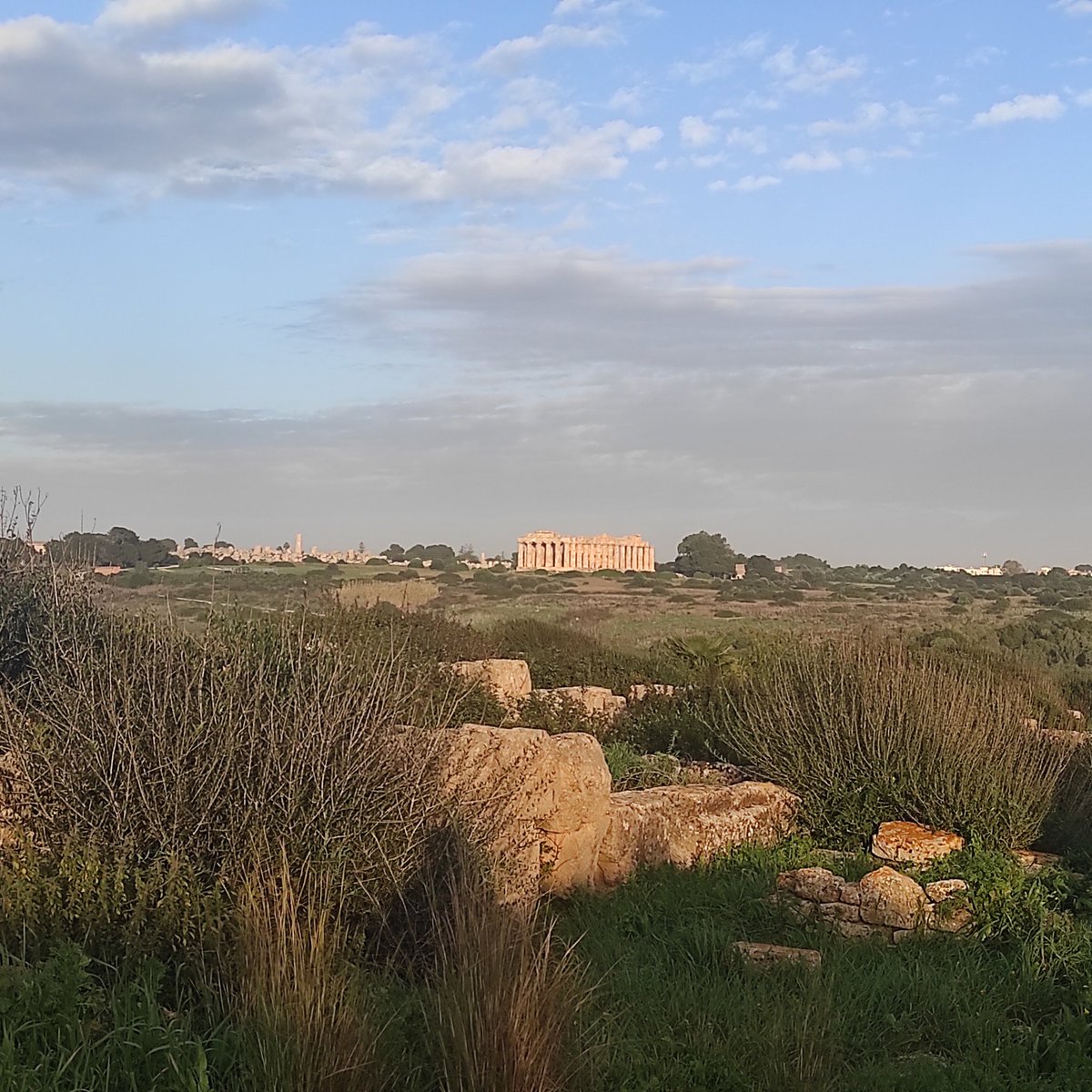 MarcoMeschis's tweet photo. Last stop of @the_LEMON_wg Winter School today is in #Selinunte greek city where archaeoseismological evidence show historical seismicity likely linked to the continental collision accommodated by thrusting activity.
#LemonWS23 https://t.co/qEWYFIHl8e