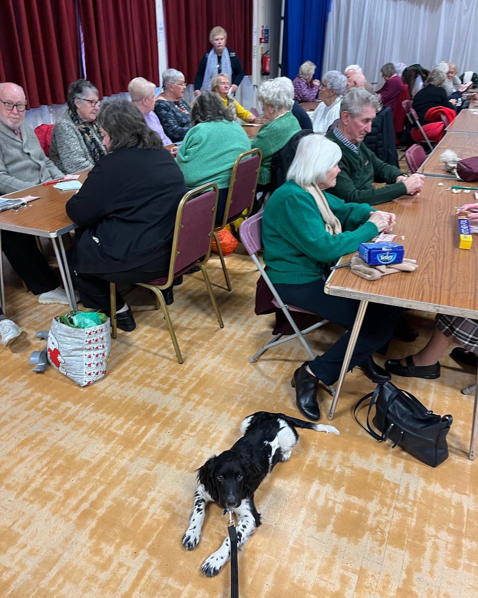 I took my puppy Jack down to see the Irish pensioners. Alot of them said they would love to have a dog but can’t so they showered Jack with all the cuddles instead. Im hoping to sign Jack up to become a @PetsAsTherapyUK dog when he’s a bit older @AsdacharltonSE7 @Royal_Greenwich