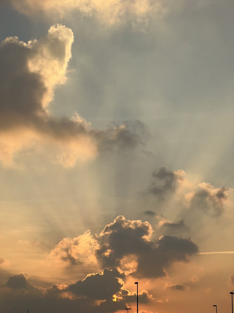 Sunset🌥️

Wednesday, 18 January 2023 at 5:31 PM