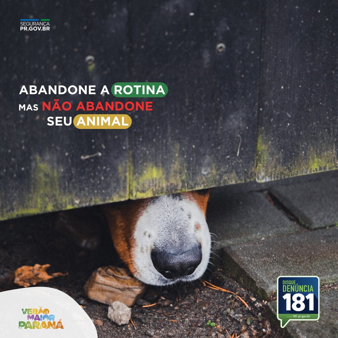 Nada melhor do que abandonar a rotina e seguir para a praia durante as férias, mas seu animal não pode ser abandonado.  
.
.
Abandono é crime.  Denuncie.