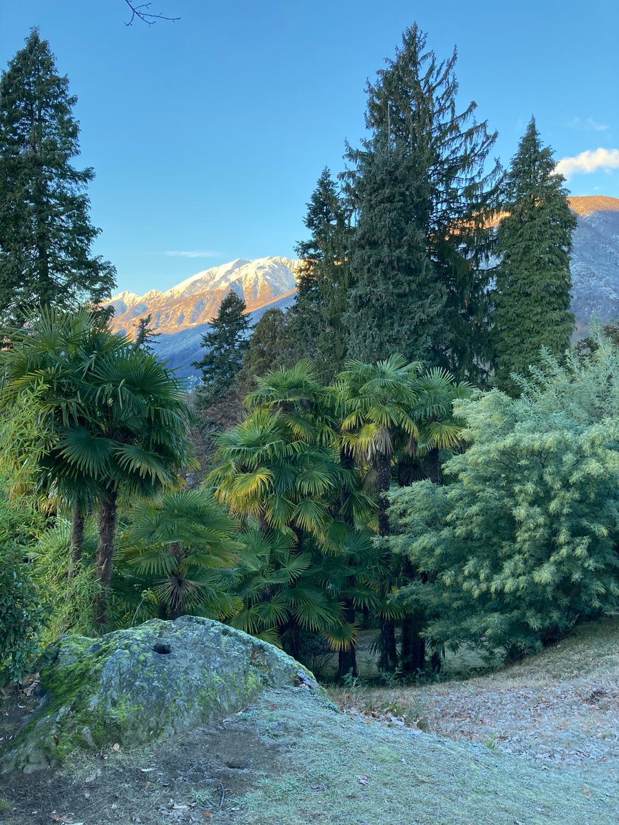 TKockmann's tweet photo. Another exciting day at the #EuBIC2023 DevMeeting in beautiful Ticino! #monteverita #CSF https://t.co/D7pvYWkgfP