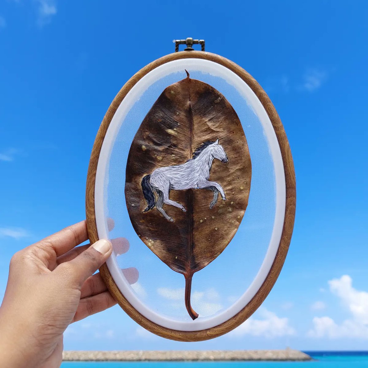 Dhoadhi_mv's tweet photo. "އަސް މަނަދޫ"
Hand stitched horse on a dry leaf. https://t.co/IhBJenGEHq