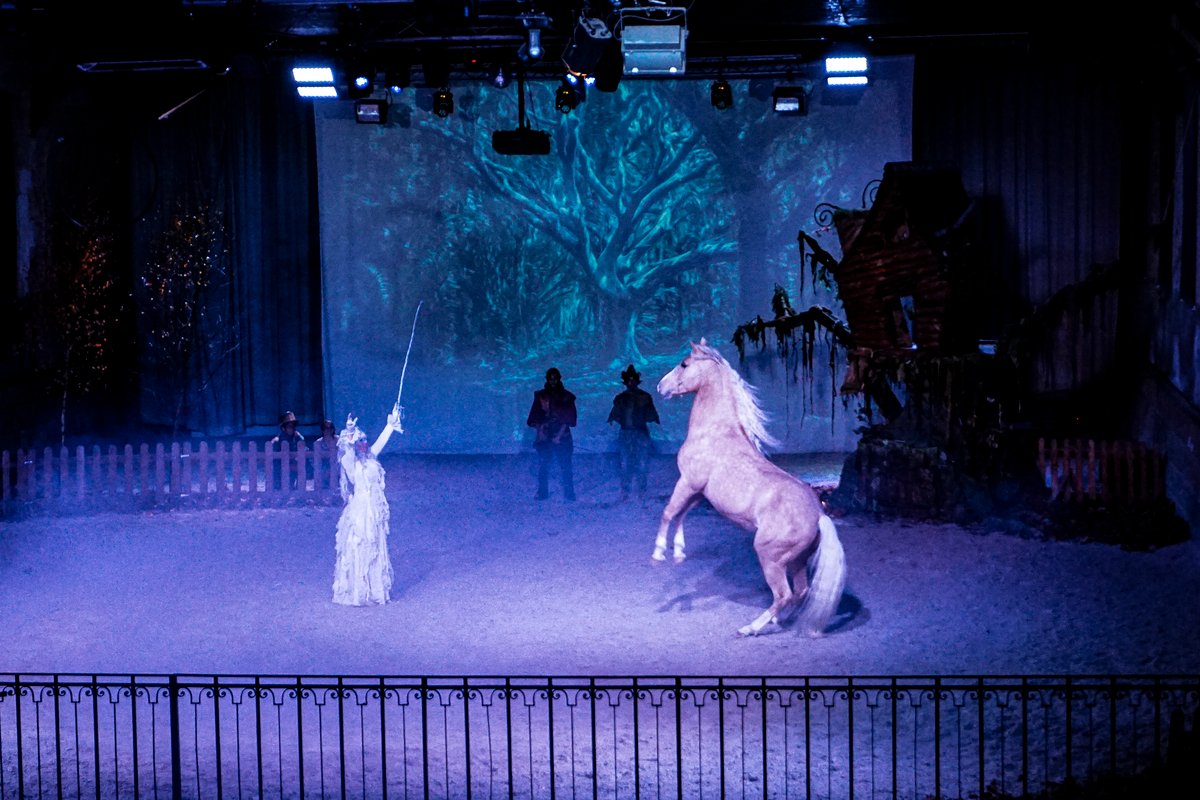 's tweet image. Merci d'être venus si nombreux aux différentes représentations du #spectacle "Le Mystère du Triskell" 🎅🙌🏼

Bravo à la compagnie L’art est Cabré pour ce magnifique spectacle qui nous a fait vivre un moment féérique au #HarasduPin 👏

Prochain spectacle en février ! 😉