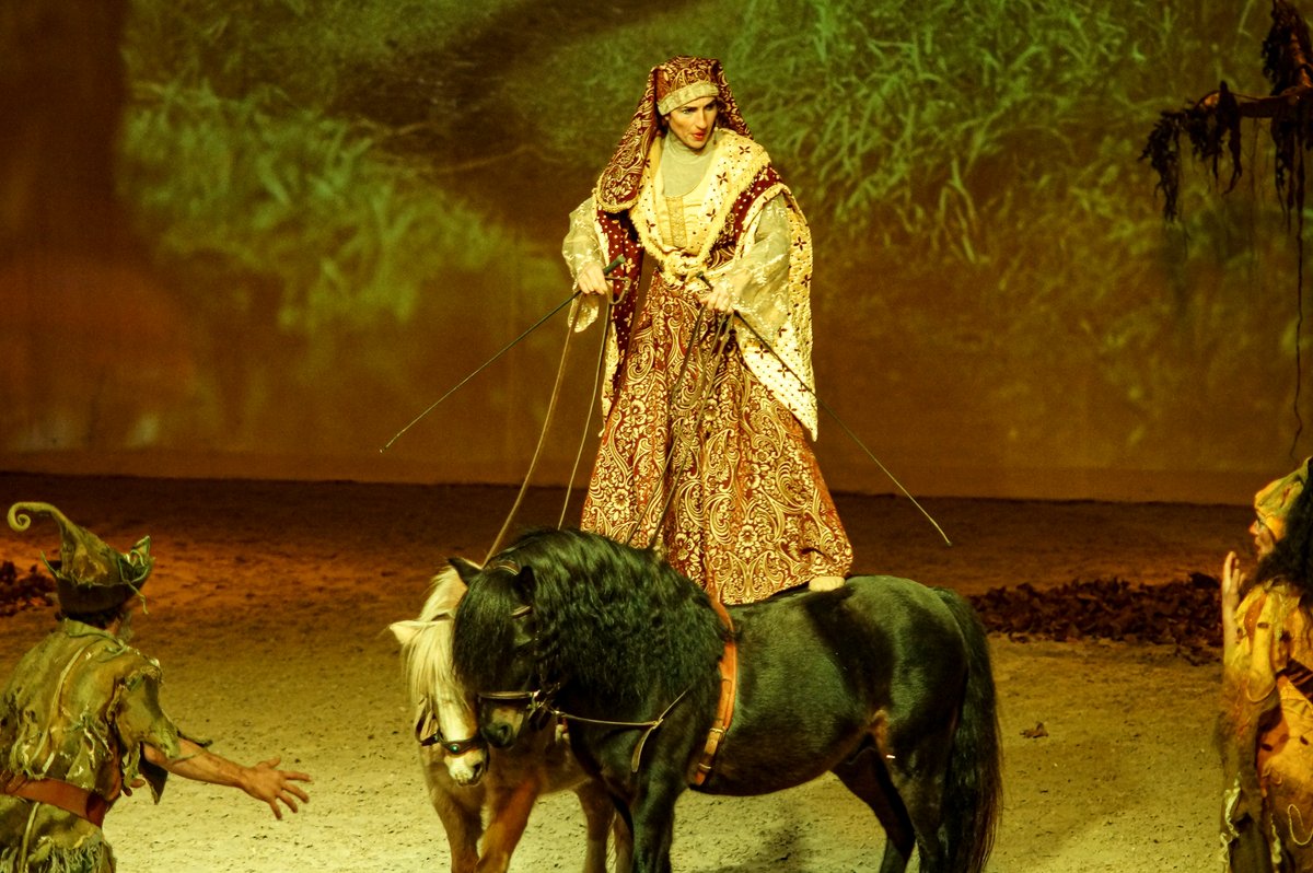 's tweet image. Merci d'être venus si nombreux aux différentes représentations du #spectacle "Le Mystère du Triskell" 🎅🙌🏼

Bravo à la compagnie L’art est Cabré pour ce magnifique spectacle qui nous a fait vivre un moment féérique au #HarasduPin 👏

Prochain spectacle en février ! 😉