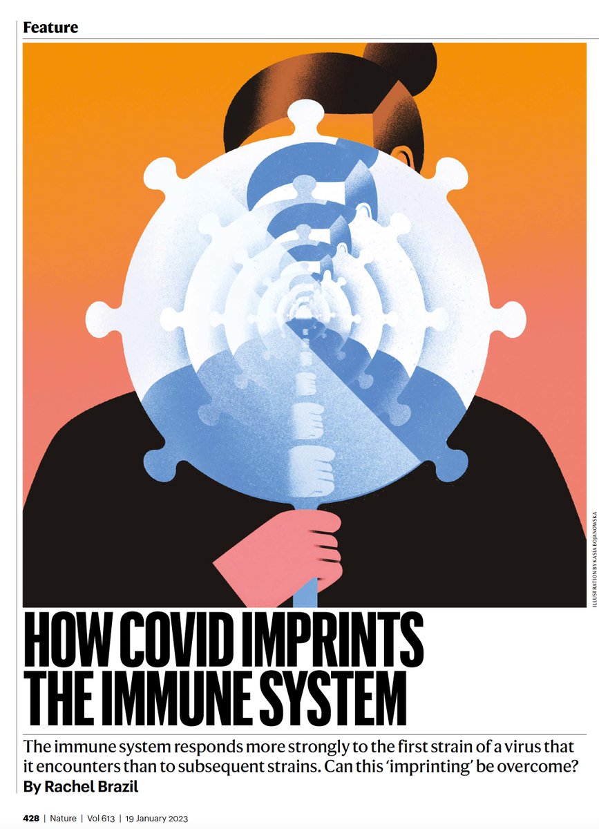 The imprinting that occurs with Covid infections and vaccines and how it may be overcome
"There's no evidence that it causes harm... or makes you more sick"—BoytonRosemary
A @nature feature 
nature.com/articles/d4158…
by @RachelBBrazil