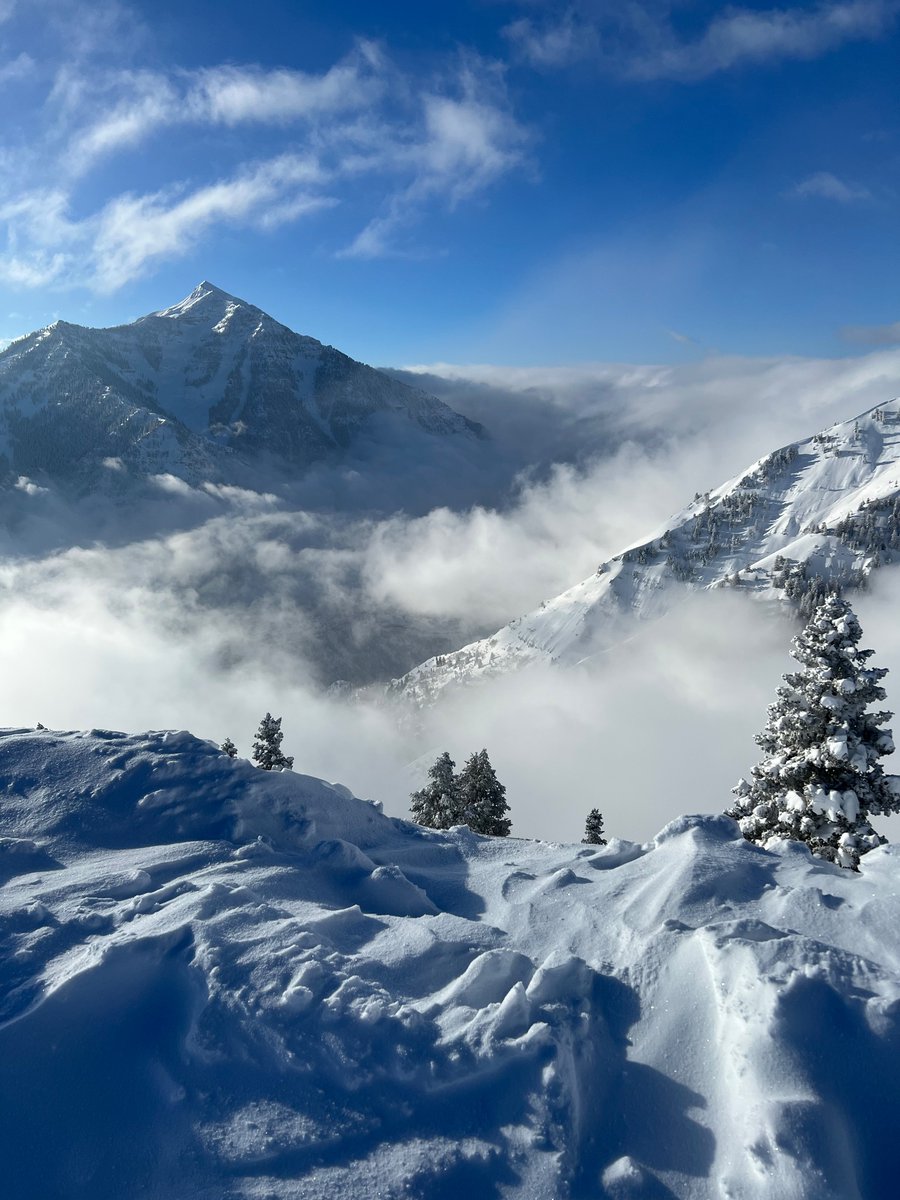 paul frandsen tweet media