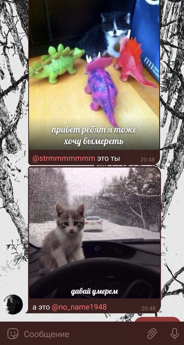 Alice_lis_s's tweet photo. Коротко о главном https://t.co/flKGl6Iu9V