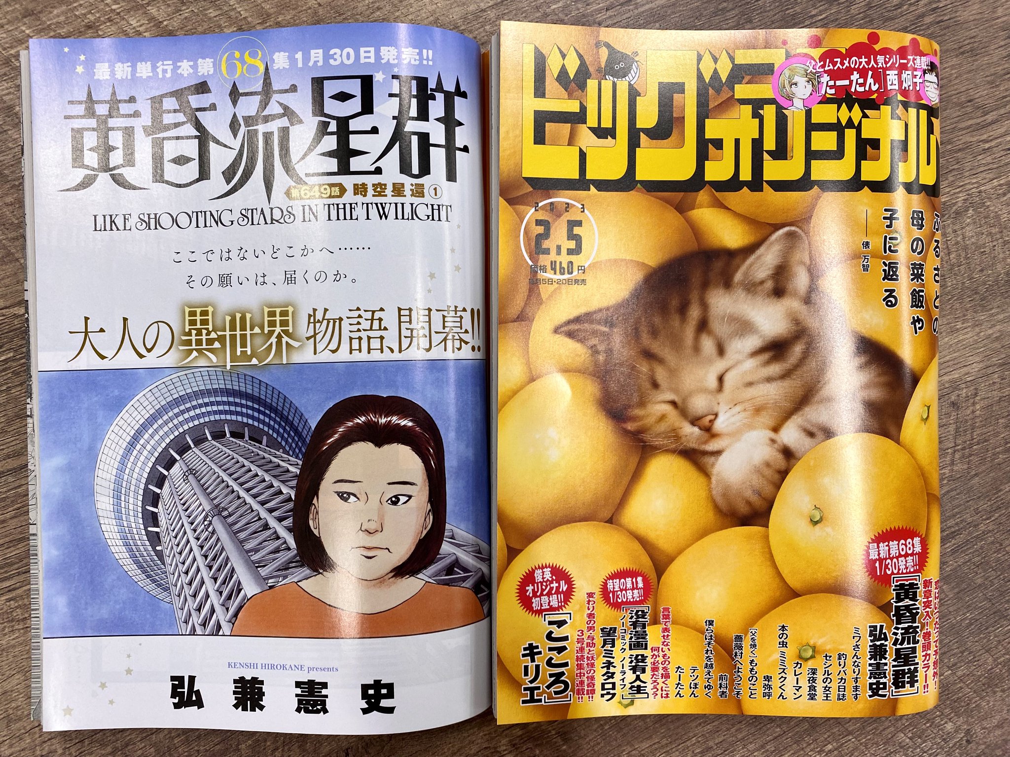 黄昏流星群1～68巻 弘兼憲史 ビッグコミックス （ビッグコミック