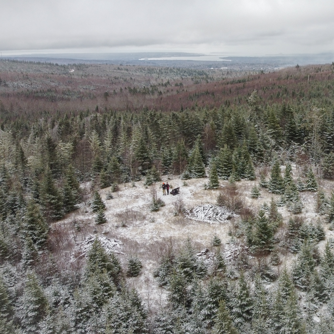 Always a little frosty up in the Cobequids! 

#mountainsofnovascotia 
#hikens
#VisitNovaScotia 
#explorenovascotia