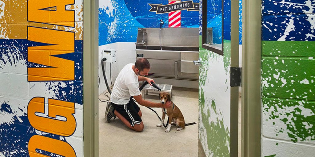 chestnutsqapts's tweet photo. Does your pup need a wash?🐶

Visit our Dog Wash, where you can clean and pamper your pup with ease.

#ChesterCounty #Chesco #WestChester https://t.co/mup9GugsKL
