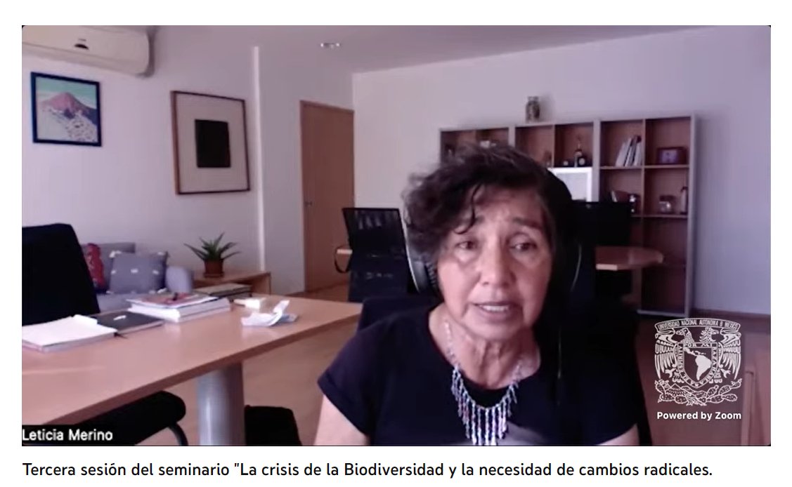 No debemos naturalizar la pérdida de ecosistemas. No es natural el consumismo, no es natural la extracción de minerales, no es natural culpabilizar a las familias campesinas de la pérdida de biodiversidad, no es natural el avance desmedido de la agroindustria: Leticia Merino.