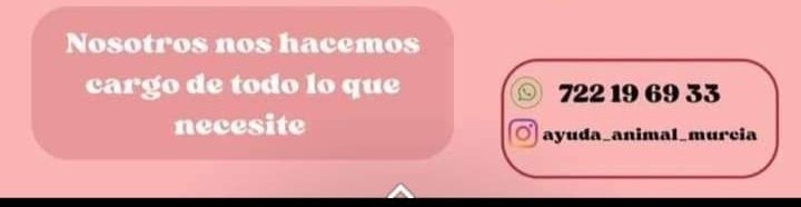 Acerina56's tweet photo. #MURCIA #ESPAÑA Les ruego no pasen de largo esta petición de ayuda. Nos necesita.Sabemos que son muchos,pero,nosotros también. Difundimos que llegue a la persona indicada .#AYÚDALO POR FAVOR Te lo RUEGO #MAXIMADIFUSIÓN. Gracias a todos grandes corazones💔💙💙💙💙 https://t.co/ieY8PRPNgb