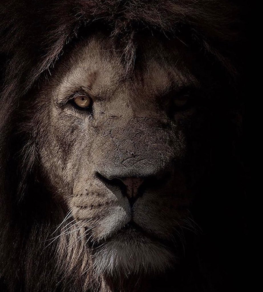 atornetta's tweet photo. Champions keep going when they have nothing left in the tank! #KeepGoing #LetsGetStarted #Grinding #LetsGo #FindTheWhy @Ericthomasbtc https://t.co/jOPiXGXQ7X