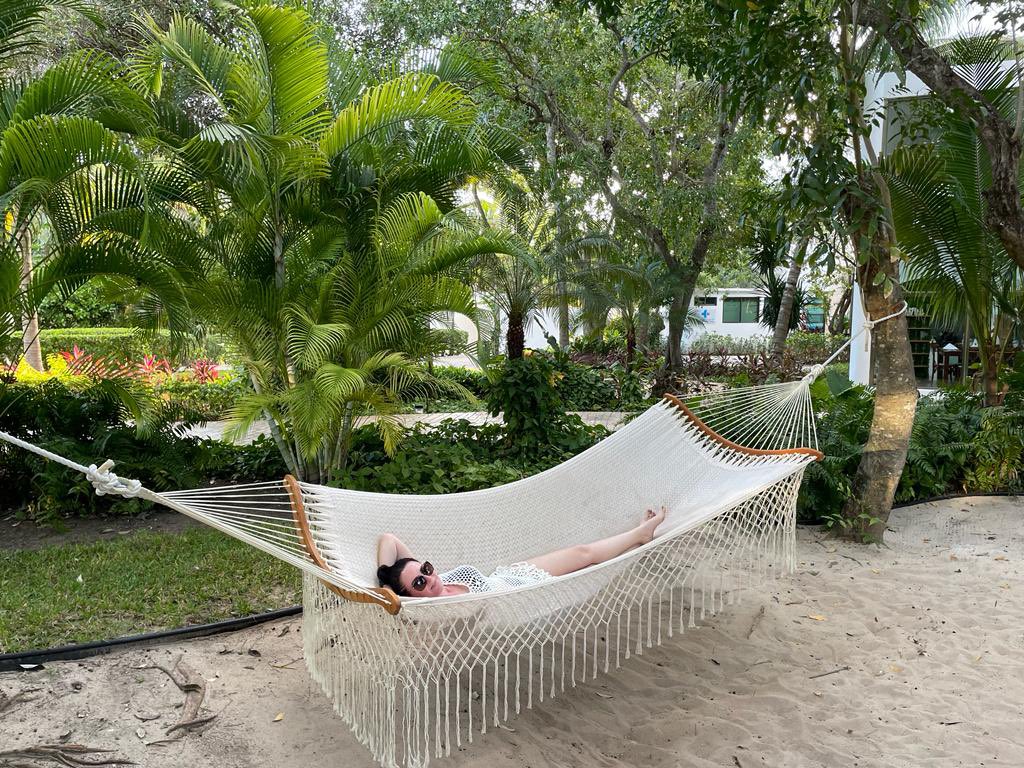 Sharron Spall tweet media