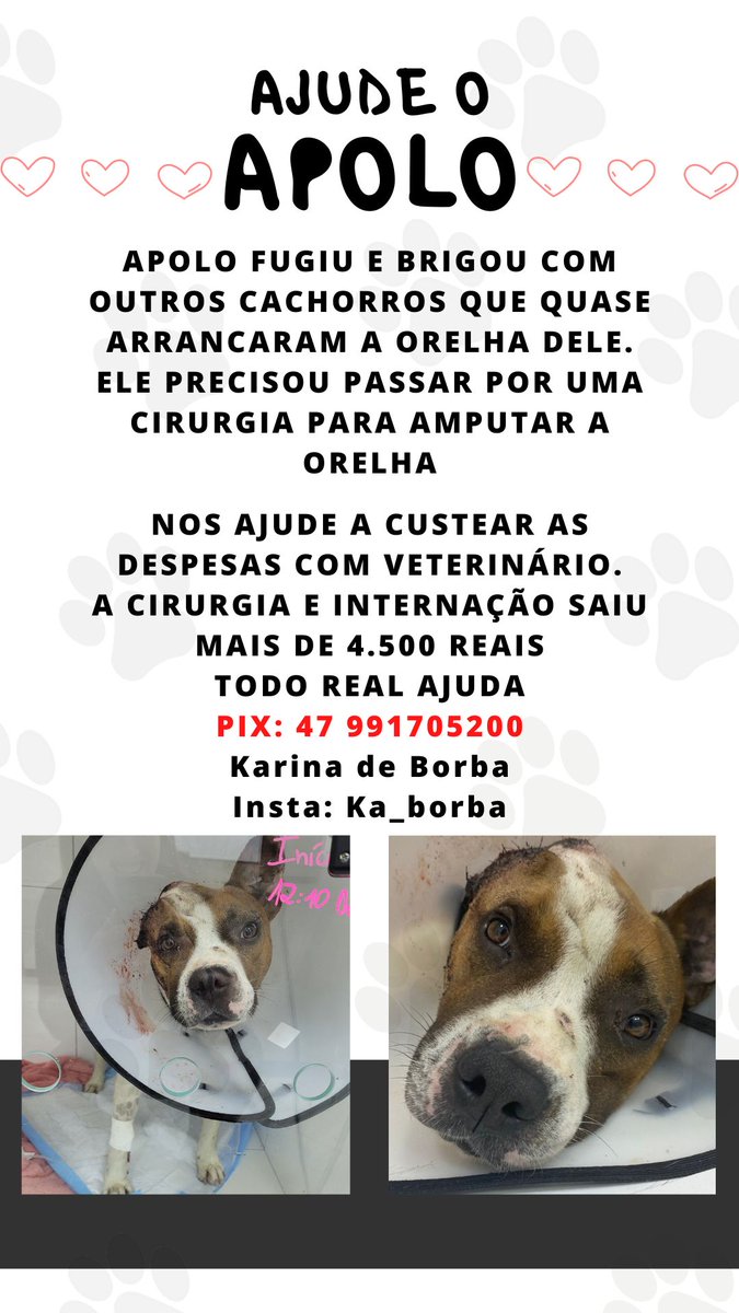 LadyYildizBolat's tweet photo. Hey Fandom, vocês podem me ajudar compartilhando essa foto? 
Agradeço de coração toda a ajuda que venho recebendo ❤️❤️ https://t.co/qx8prG3qP0