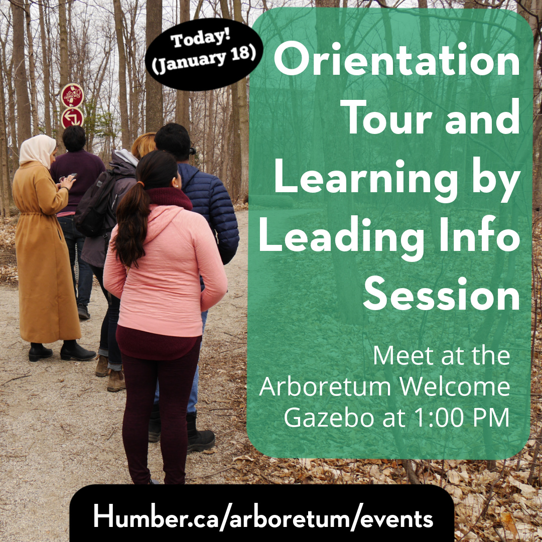 HumberArb's tweet image. Today! #HumberCollege &amp;amp; #UofGH students are invited to join Arb staff at 1pm for a walking tour. We'll explore the gardens and forest, and tell you about all of our opportunities for students.

Meet at the Humber Arboretum Welcome Gazebo at 1:00 pm: google.com/maps/place/Tre…