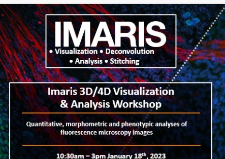 Canxuki's tweet image. Ready to learn more about Imaris today at UAB! 

#NewTools #AlwaysLearning #Imaris #HRIF_UAB