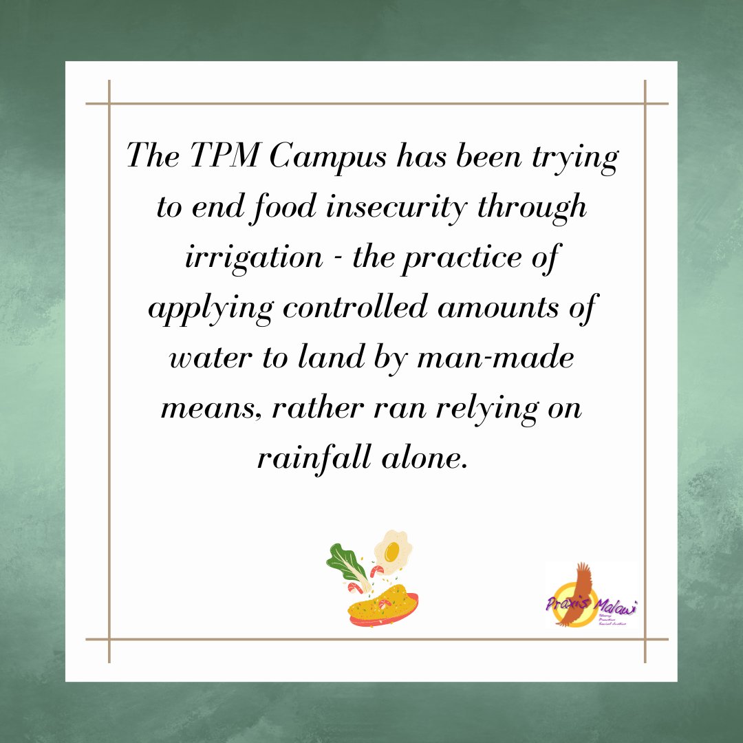 PraxisMalawi's tweet image. The #TransformativePraxis #Malawi #Campus has been trying to build #FoodSecurity through #irrigation - the practice of applying controlled amounts of water to land by man-made means, rather ran relying on rainfall alone. 

(1/2 🧵)