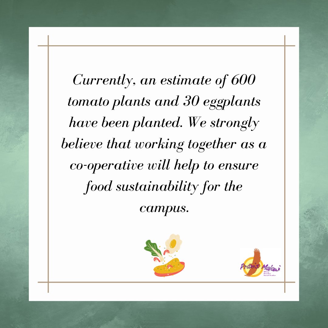 PraxisMalawi's tweet image. The #TransformativePraxis #Malawi #Campus has been trying to build #FoodSecurity through #irrigation - the practice of applying controlled amounts of water to land by man-made means, rather ran relying on rainfall alone. 

(1/2 🧵)