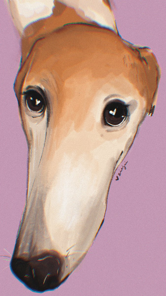 ~Let me do it for you~

feat. Jenna and Julien’s Bunny

#arttwitter @artmoots #greyhound