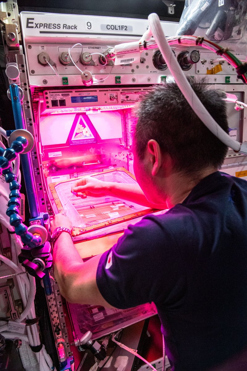 NASA Science tweet media