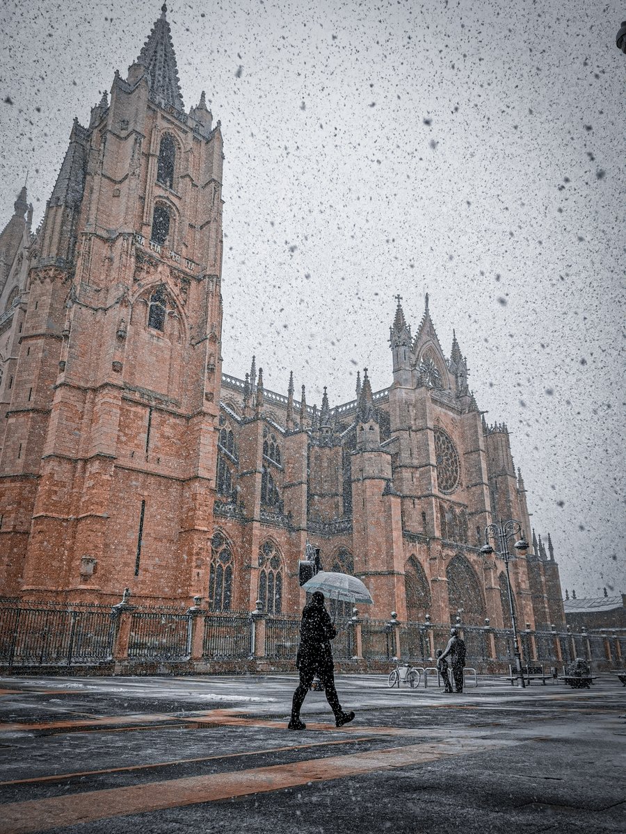 cazurreo's tweet photo. ❄️🫶😍León 😍🫶❄️ https://t.co/kY0MKzget1