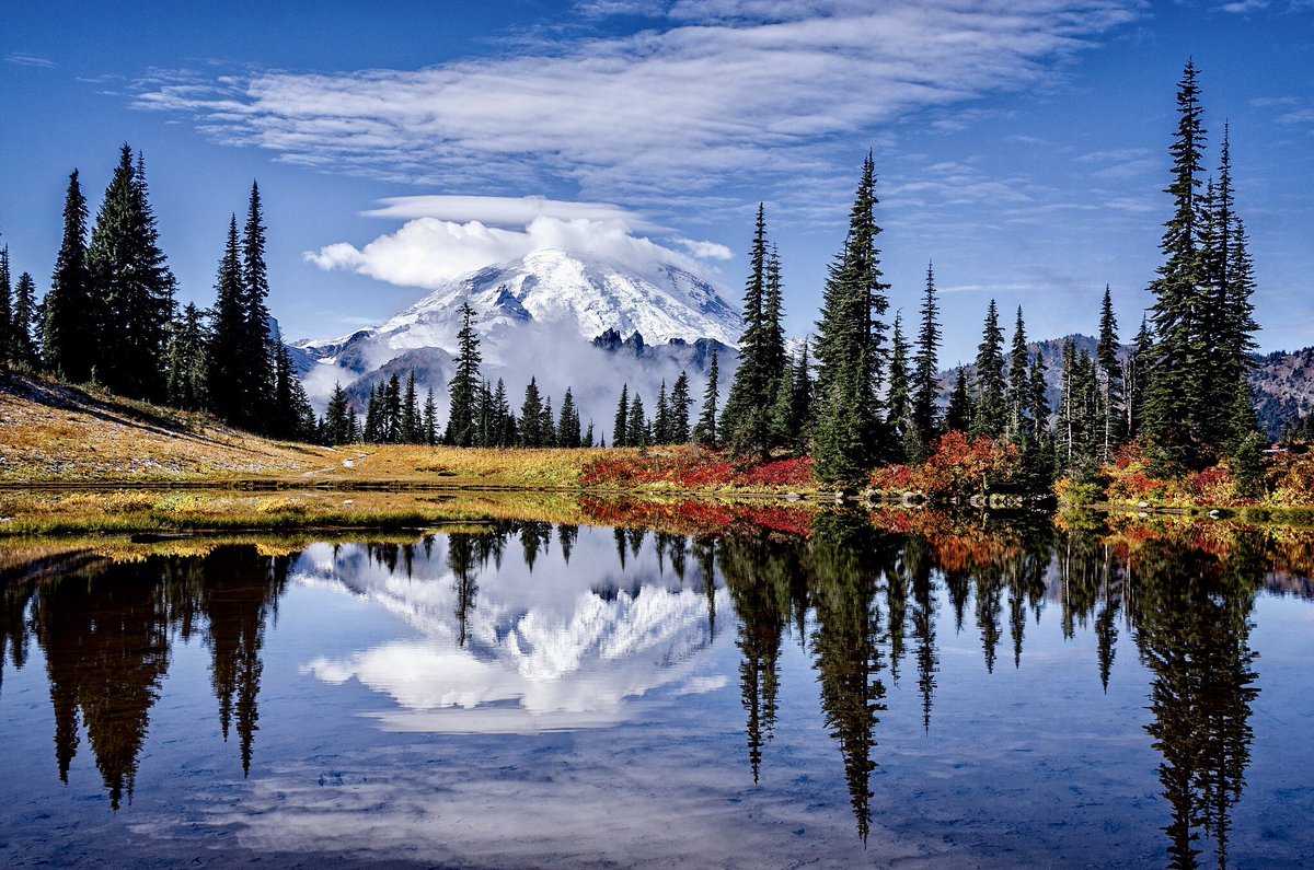 Visiting Tipsoo Lake and Mt. Rainier on a clear day to see the beautiful reflection in the water. 
Take the Chinook Scenic Byway to Tipsoo Lake to enjoy the ride. The area around the lake arguably rivals Paradise, so pack a lunch 🥪🍎
#Washington The Evergreen State

#travelUSA🇺🇸
