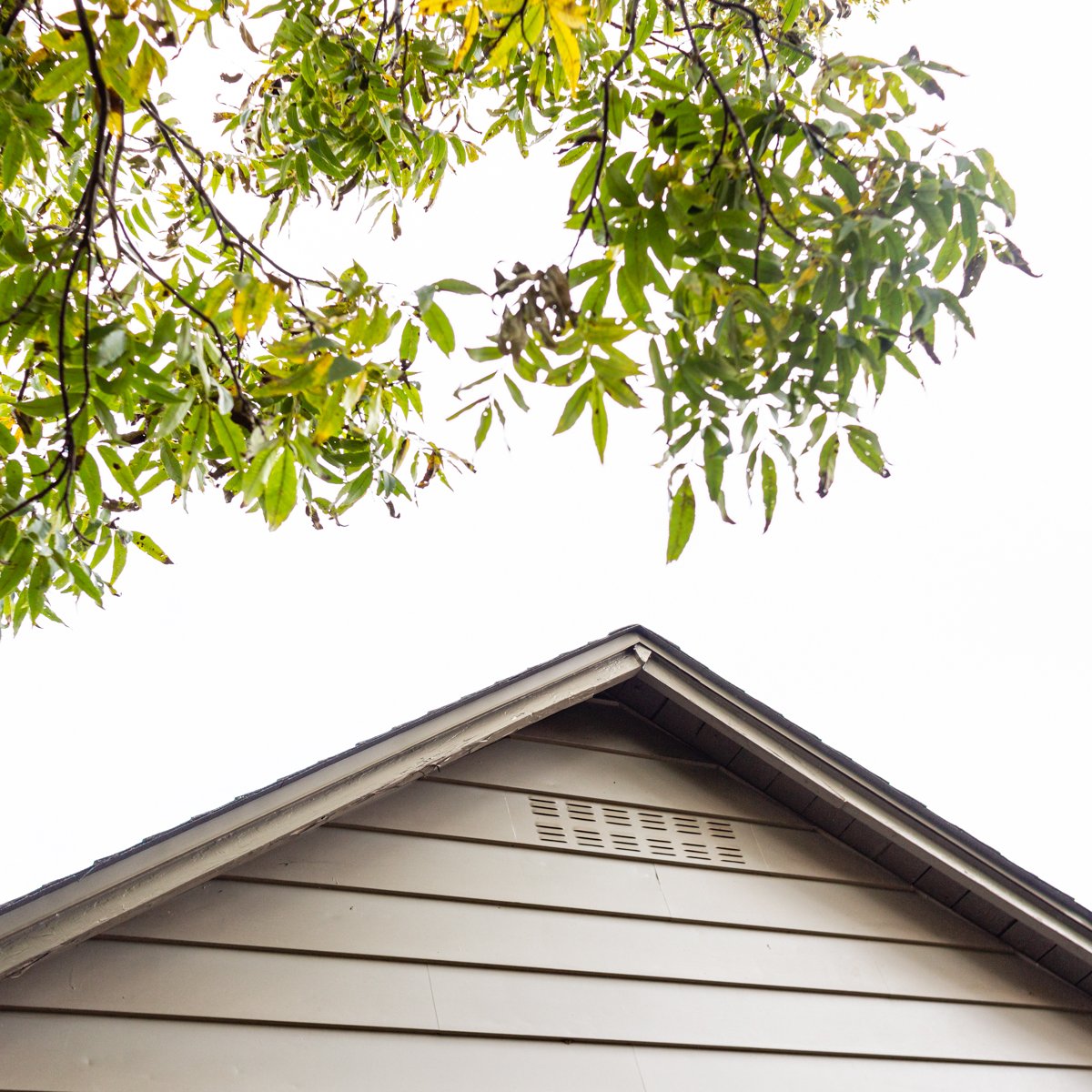 IncSack's tweet photo. We're always willing to go to great heights for our customers. Call us at (352) 430-2773 to request an estimate for your new roof. https://t.co/rHW7hYE0D3
