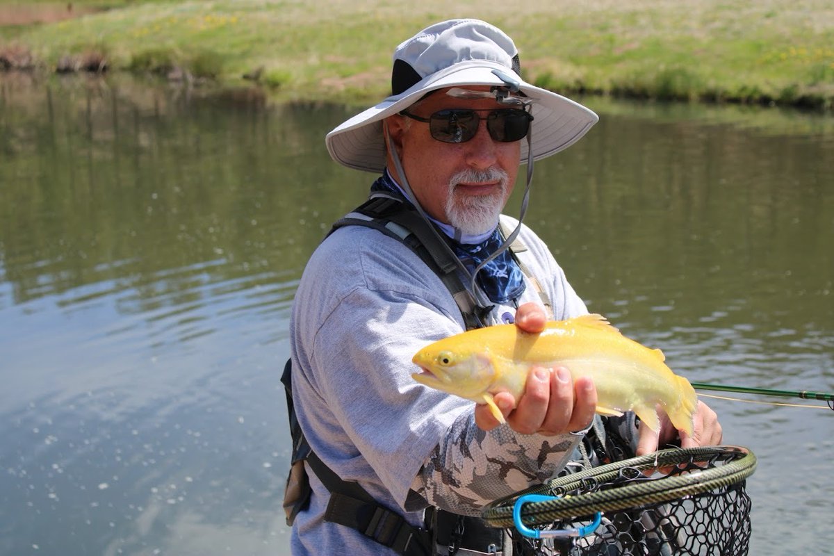 PHWFF's tweet photo. The Palomino Trout.

Who has caught one of these interesting variations of the Rainbow Trout? 

These two Palominos were caught during one of our past programs and as you can tell, definitely put a smile on the face of each angler. 
#phwff #palominotrout #flyfishing #nonprofit https://t.co/aruGNsedaN