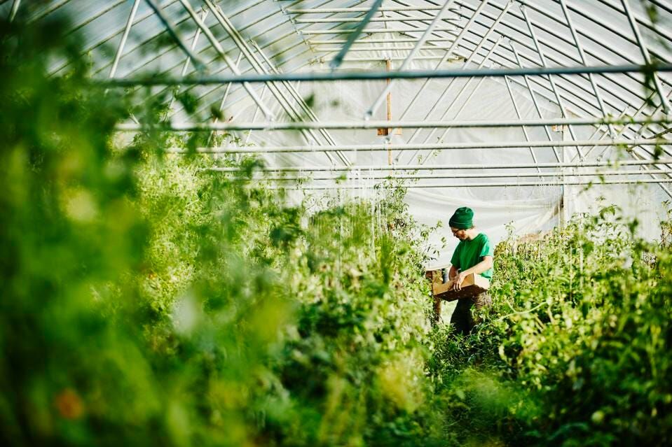 QuickPlugGlobal's tweet image. Vertical farming continues to increase in popularity. Here's a great breakdown of the financial factors behind vertical farming success.
bit.ly/3WfF5Jj.