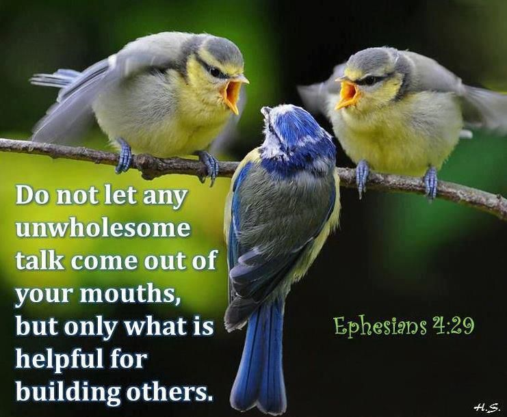 <a href="/ledrew/">ledrew fox</a> <a href="/Micheal12Young/">Micheal Young</a> <a href="/Alphaa16147110/">Alpha and Omega</a> <a href="/Saddam62/">Saddam</a> <a href="/OneiTaH/">OneiTa Henderson</a> <a href="/JuliannebyGrace/">🕊🙏God’s Prayer Closet🙏🕊</a> <a href="/OberoiKaala/">❤️LOVE IS GOD ❤️Kishore Oberoi</a> <a href="/ZCarolipio/">Zen Carolipio</a> <a href="/DanSC1952/">Dan Durbin</a> <a href="/A_J_Christ/">🇺🇸👉Within 24hrs followback</a> <a href="/wwoodward921/">BillFreeIndeed✝️🇺🇸❌</a> <a href="/winstonsapps/">Idelity Grace& Faith</a> Ephesians 4:29
Do not let any unwholesome talk come out of your mouths, but only what is helpful for building others up according to their needs, that it may benefit those who listen