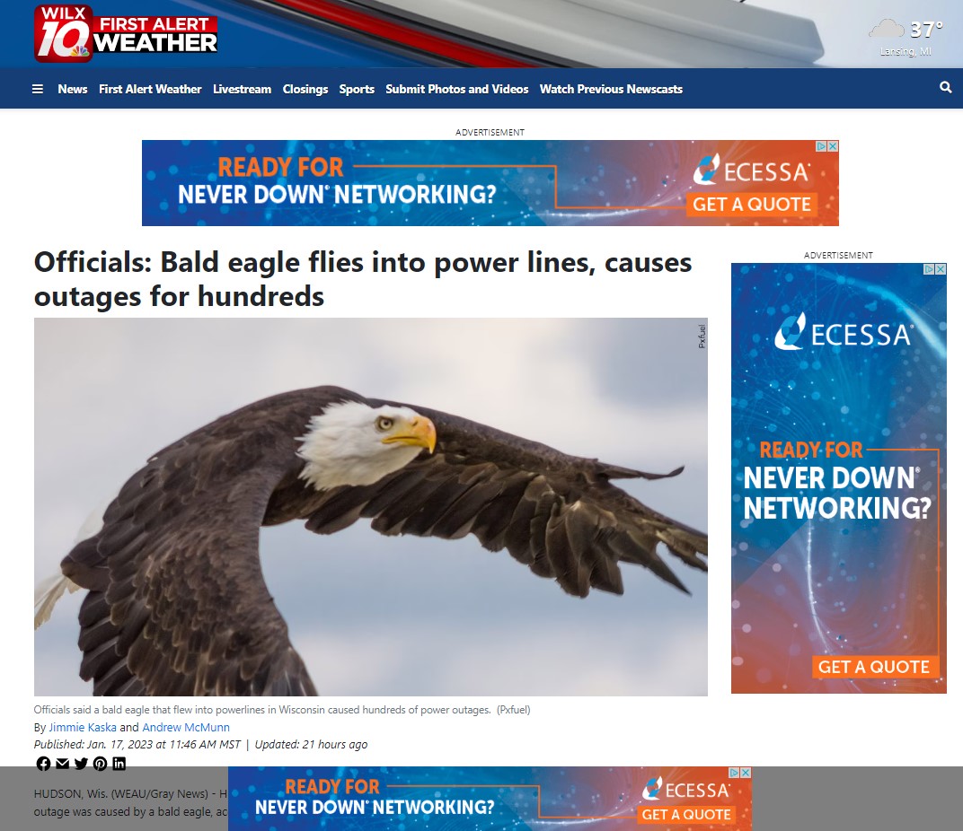 jdltechnologies's tweet image. Animals like this poor bald eagle cause not only power outages, but also internet outages. Ecessa solutions automatically switch you to a backup link so you never lose internet connectivity. hubs.ly/Q01yr_Kt0 #failover #outage