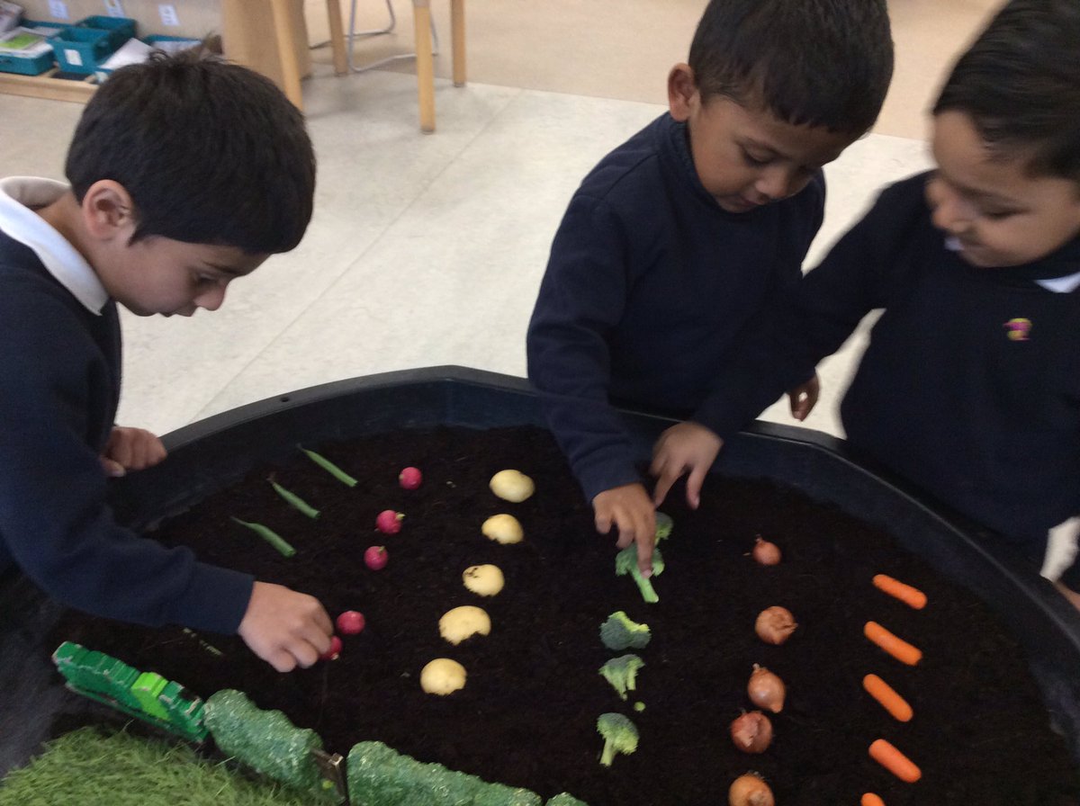 7millsprimary's tweet photo. Down on the farm.... our farmers have managed to keep the animals away from the food crops all week ... well done, everyone! #OldMacdonald #EYFS #FarmChallenge https://t.co/2G3kvWmy6P