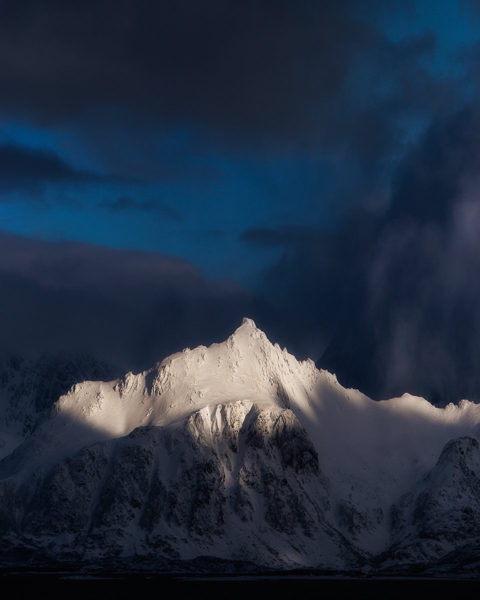 the burrow🦉 tweet media