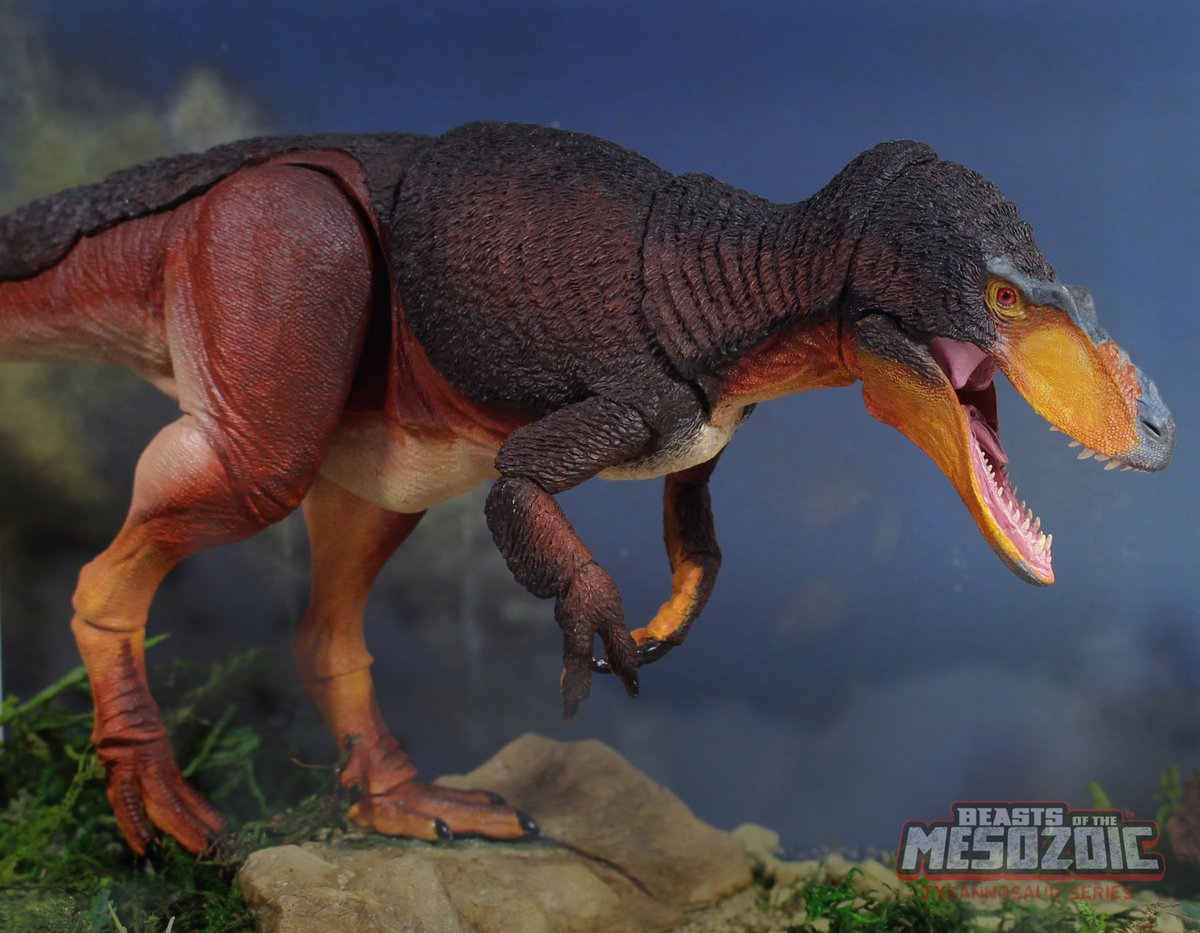 We round out our look at the Beasts of the Mesozoic: Tyrannosaur Series wave 2 catalog shots today with Dryptosaurus aquilunguis! 
Dryptosaurus and its wave 2 counterparts are currently up for preorder now: …zoic-tyrannosaur-series.backerkit.com/hosted_preorde…
#beatsofthemesozoic