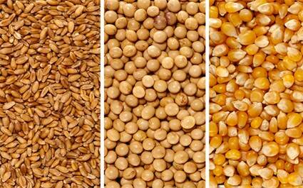 Read our most recent article on <a href="/AgroBericht/">AgroberichtenBuitenland</a> about trade dynamics of maize, soybean and wheat in the Americas which, in turn, offers opportunities for a protein transition. Read here: tinyurl.com/yc7yrjzt <a href="/AgriPeruNL/">AgriPeru</a> <a href="/WUR/">Wageningen U&R</a>