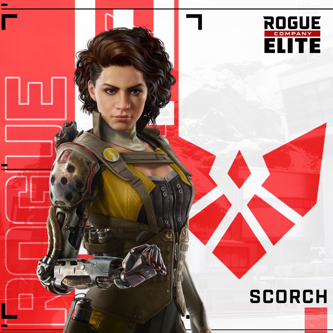 Rogue Company Elite