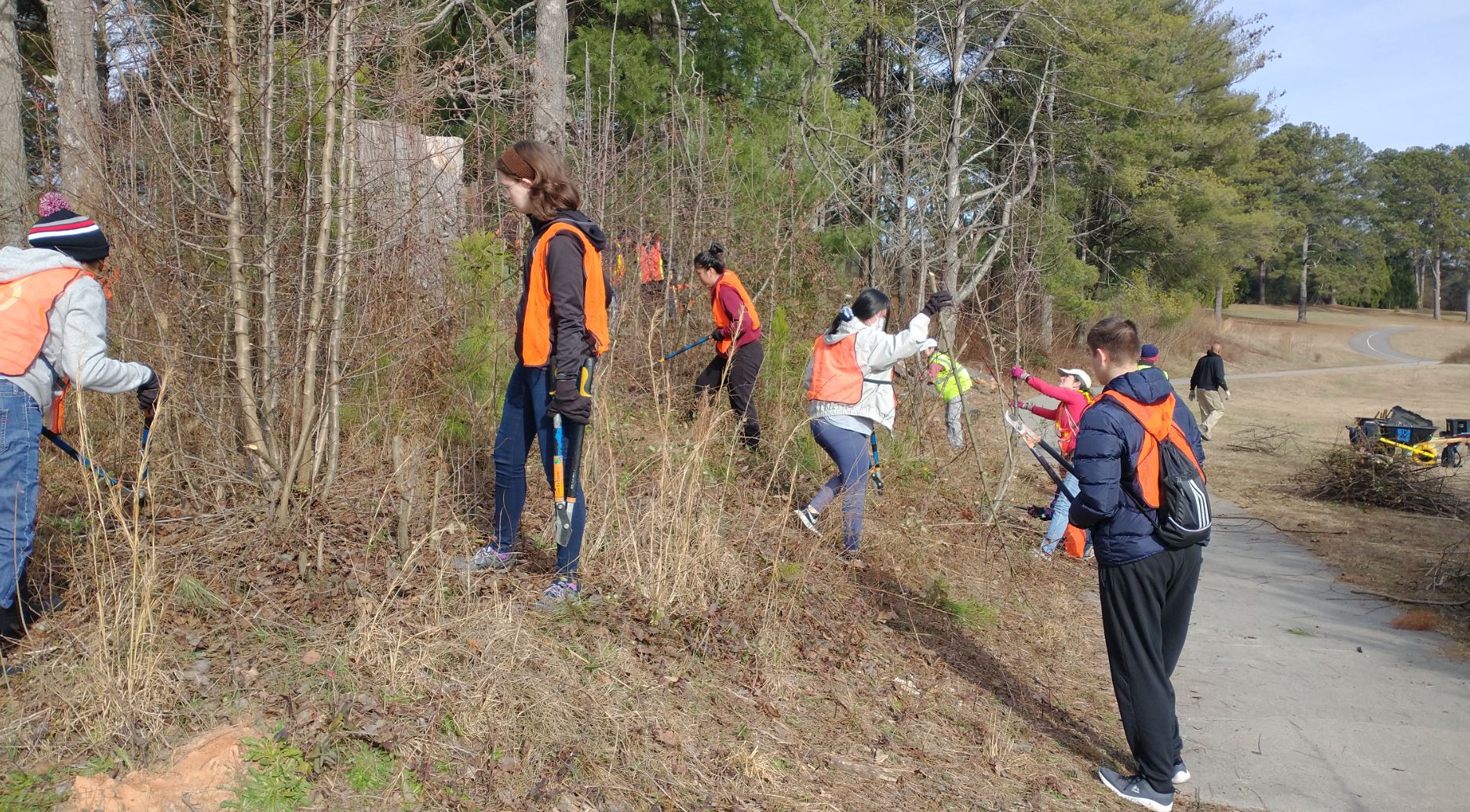 A group of people cutting sticks and dead plants. 