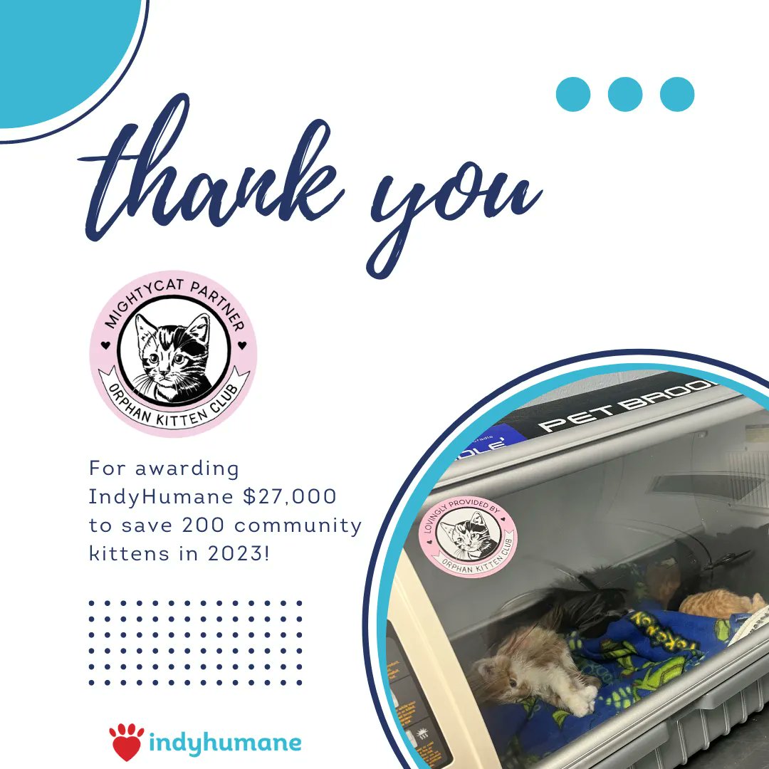 IndyHumane's tweet photo. We are so thankful for the continued support of @orphankittenclb  who awarded IndyHumane $27,000 to help save community kittens and to create safe and healthy futures for 200 community kittens in 2023. ❤
#mightycat  #shelterkittens #adopt https://t.co/PNp1lg48Ip
