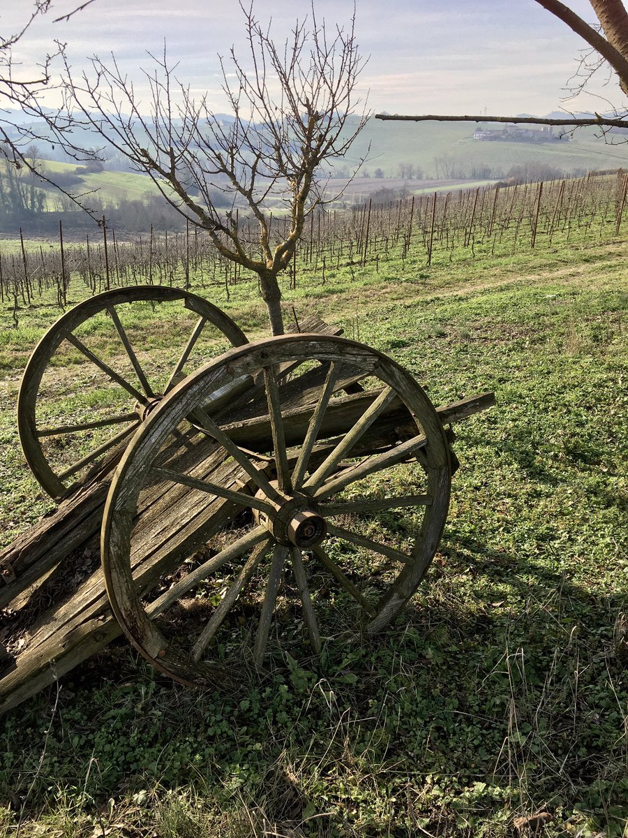 BesWinery's tweet photo. #bes #naturalmonferrato #treville #organic #redwine #winelover #agricolabes #bereesognare https://t.co/5Kii5zyxNY