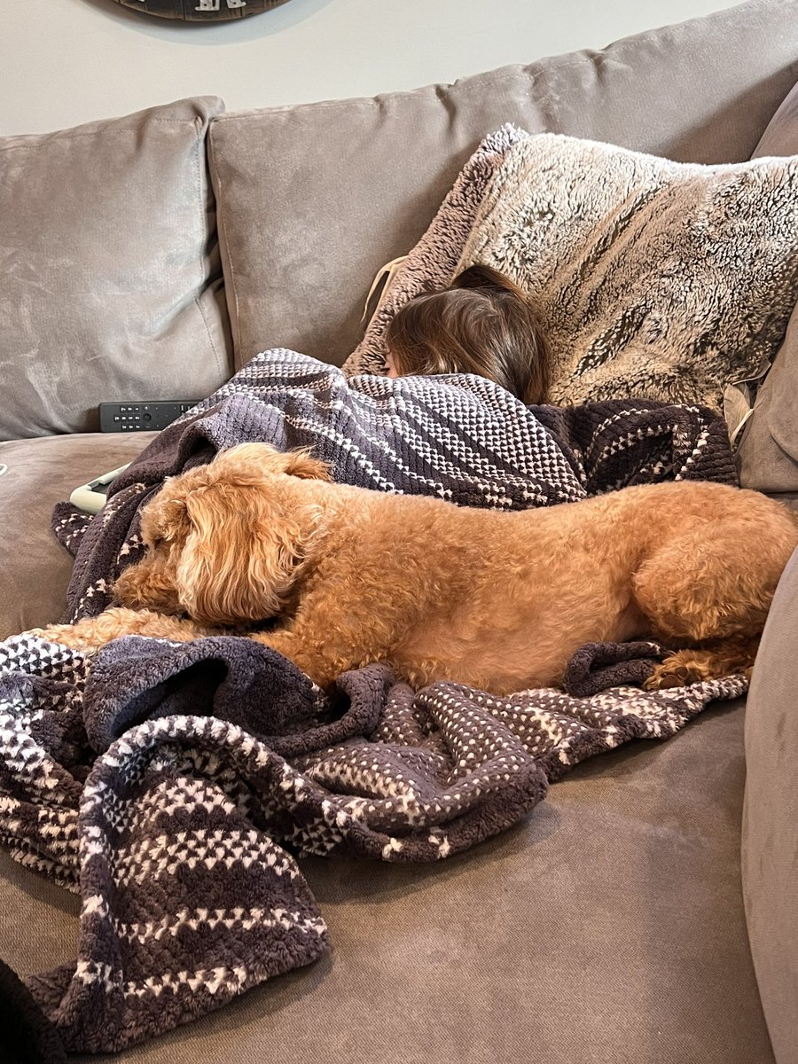 Emily C. Singer on Twitter "Dr Wally to the rescue"