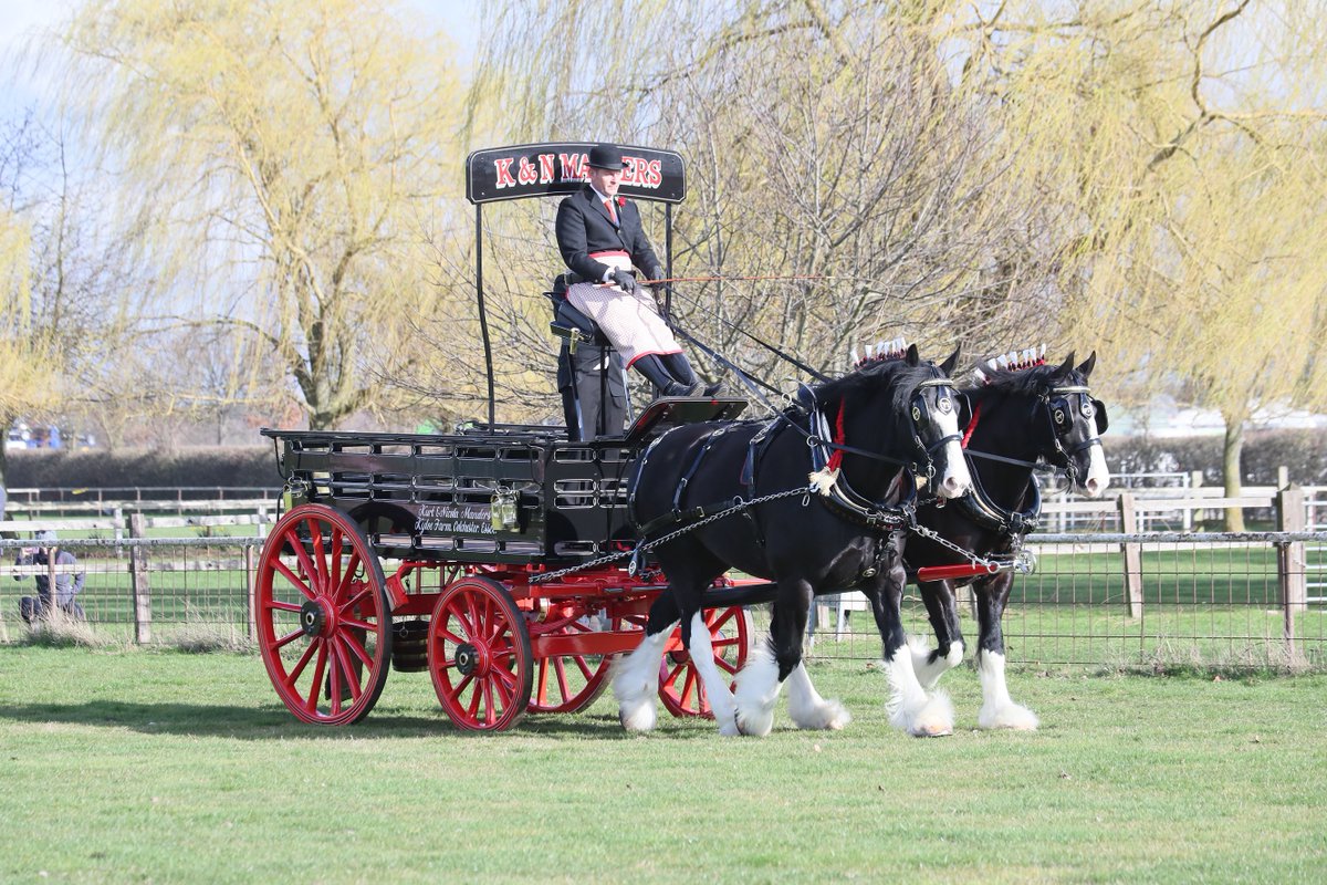 Shire Horse Society tweet media