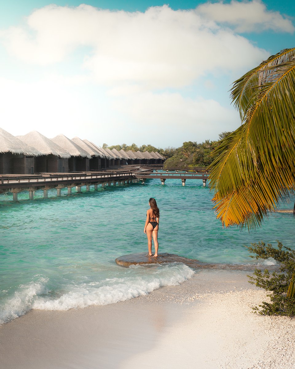 Island fever!

📸: @SheratonMaldive  

#maldivesvirtualtour #sheratonmaldives #yourwelcomeawaits #visitmaldives #sunnysideoflife #maldives #bestvacation #dreamdestination